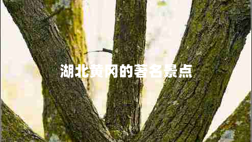 湖北黃岡的著名景點(diǎn) 湖北黃岡的著名景點(diǎn)
