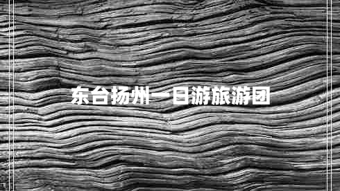 東臺揚(yáng)州一日游旅游團(tuán)