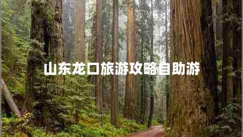 山東龍口旅游攻略自助游