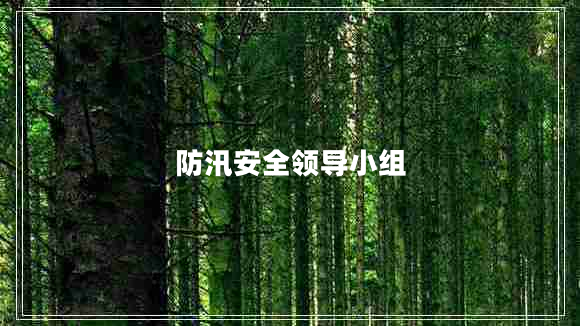 防汛安全領導小組