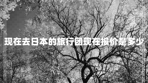 現(xiàn)在去日本的旅行團現(xiàn)在報價是多少
