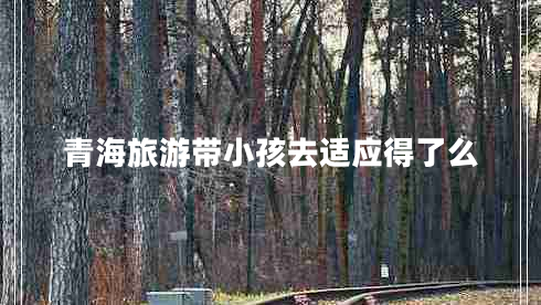 青海旅游帶小孩去適應(yīng)得了么