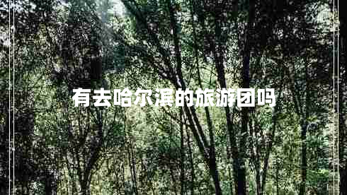 有去哈爾濱的旅游團(tuán)嗎