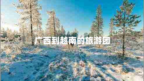 廣西到越南的旅游團(tuán)