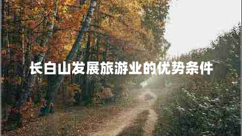 長(zhǎng)白山發(fā)展旅游業(yè)的優(yōu)勢(shì)條件