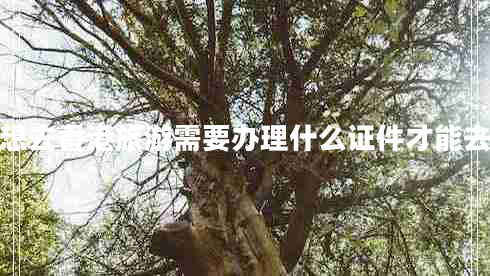 想去香港旅游需要辦理什么證件才能去