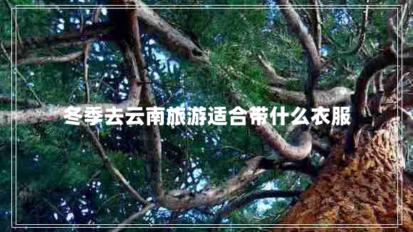冬季去云南旅游適合帶什么衣服