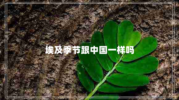 埃及季節(jié)跟中國一樣嗎