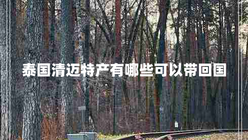 泰國清邁特產(chǎn)有哪些可以帶回國