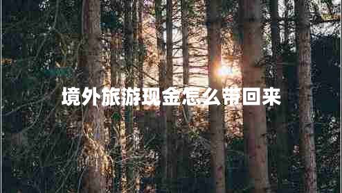 境外旅游現(xiàn)金怎么帶回來