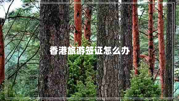 香港旅游簽證怎么辦