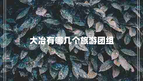 大冶有哪幾個旅游團組