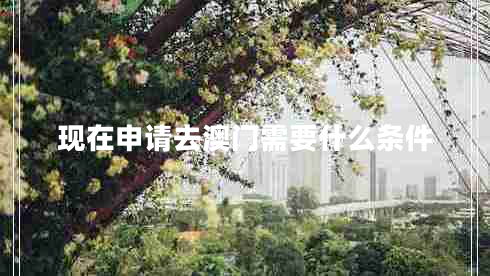 現(xiàn)在申請去澳門需要什么條件
