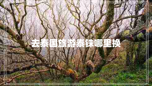 去泰國旅游泰銖哪里換