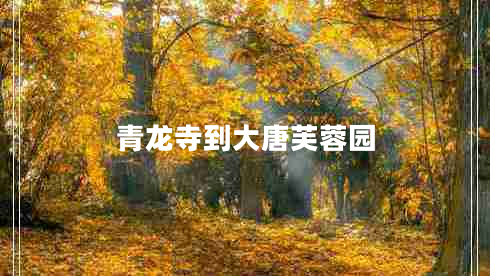 青龍寺到大唐芙蓉園 青龍寺到大唐芙蓉園