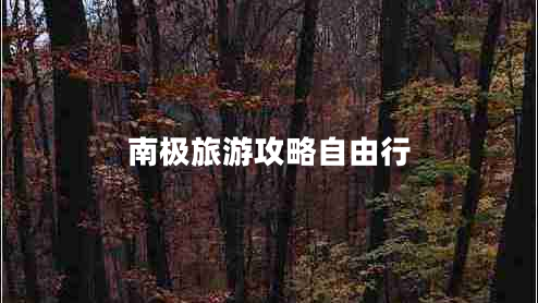 南極旅游攻略自由行