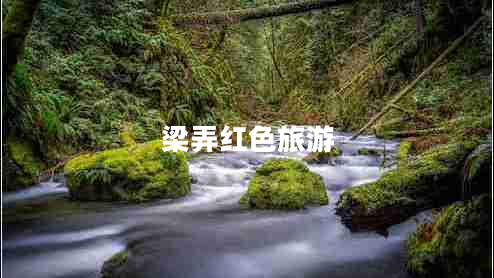 梁弄紅色旅游 梁弄紅色旅游