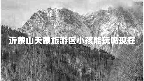 沂蒙山天蒙旅游區(qū)小孩能玩嗎現(xiàn)在