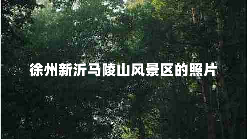 徐州新沂馬陵山風(fēng)景區(qū)的照片