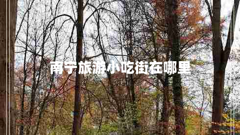 南寧旅游小吃街在哪里