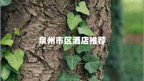 泉州市區(qū)酒店推薦