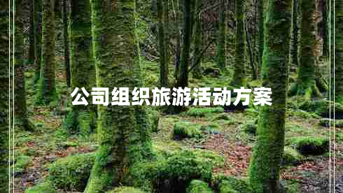 公司組織旅游活動(dòng)方案