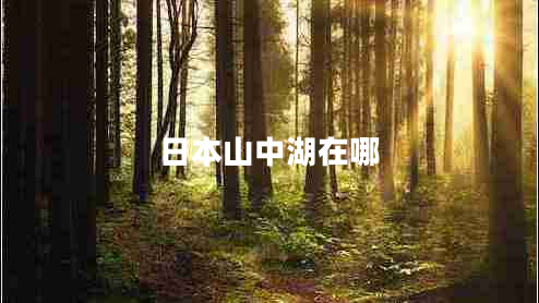 日本山中湖在哪