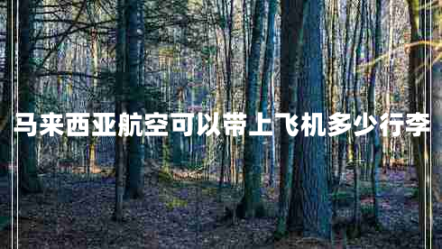 馬來西亞航空可以帶上飛機多少行李 馬來西亞航空可以帶上飛機多少行李