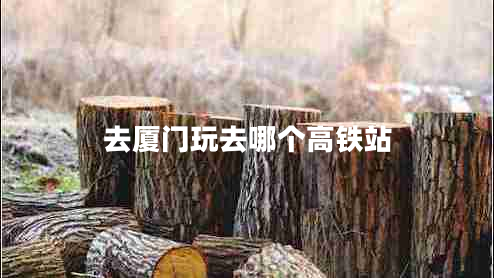 去廈門玩去哪個(gè)高鐵站