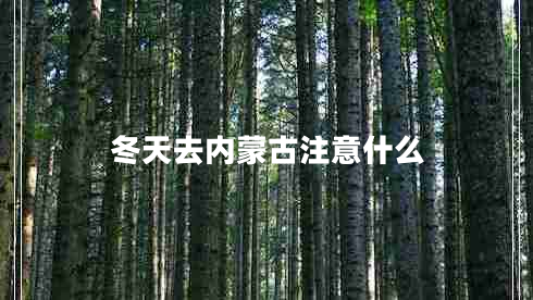 冬天去內(nèi)蒙古注意什么