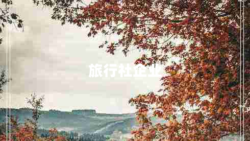 旅行社企業(yè) 旅行社企業(yè)