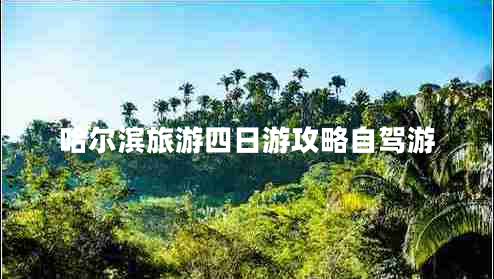 哈爾濱旅游四日游攻略自駕游 哈爾濱旅游四日游攻略自駕游