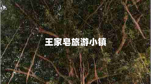 王家皂旅游小鎮(zhèn) 王家皂旅游小鎮(zhèn)