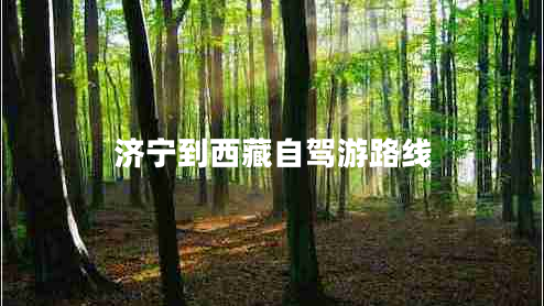 濟(jì)寧到西藏自駕游路線