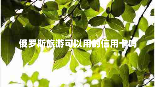 俄羅斯旅游可以用的信用卡嗎 俄羅斯旅游可以用的信用卡嗎