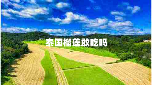 泰國(guó)榴蓮敢吃嗎