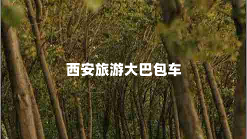 西安旅游大巴包車 西安旅游大巴包車