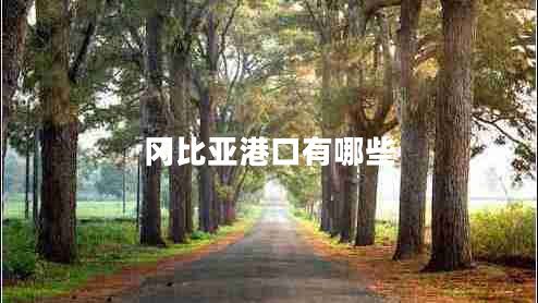 岡比亞港口有哪些