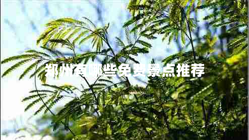 鄭州有哪些免費(fèi)景點(diǎn)推薦