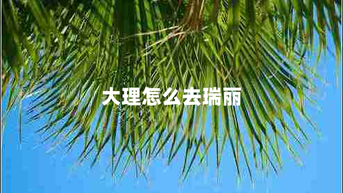 大理怎么去瑞麗