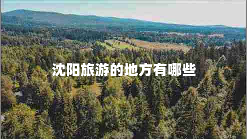 沈陽旅游的地方有哪些