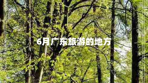 6月廣東旅游的地方 6月廣東旅游的地方