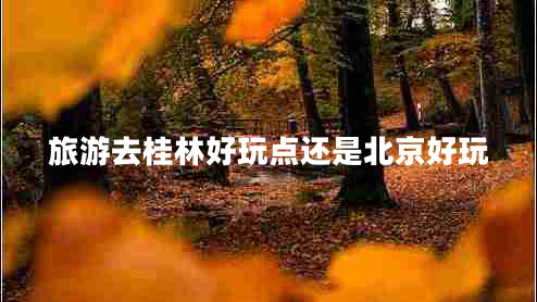 旅游去桂林好玩點(diǎn)還是北京好玩