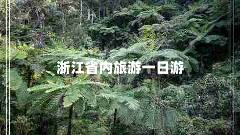 浙江省內(nèi)旅游一日游