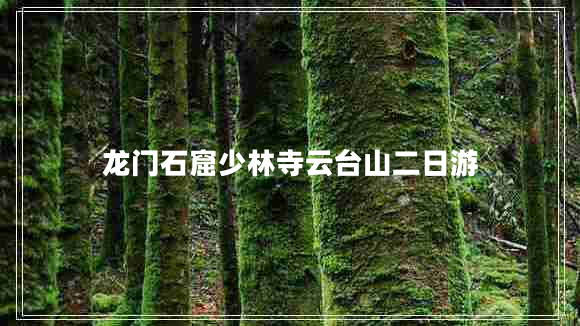 龍門(mén)石窟少林寺云臺(tái)山二日游