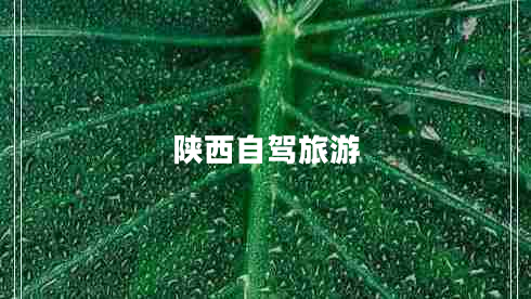 陜西自駕旅游 陜西自駕旅游