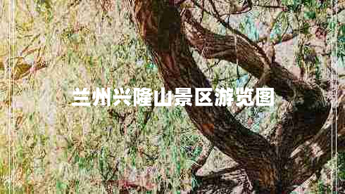 蘭州興隆山景區(qū)游覽圖