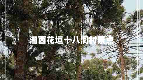 湘西花垣十八洞村景點 湘西花垣十八洞村景點