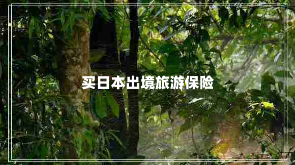 買日本出境旅游保險 買日本出境旅游保險