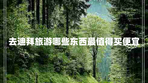 去迪拜旅游哪些東西最值得買便宜 去迪拜旅游哪些東西最值得買便宜